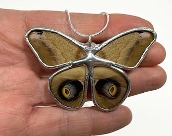 Butterfly Necklace, Real Butterfly jewelry, best friend gifts, glass pendant, stained glass wing, nature inspired present