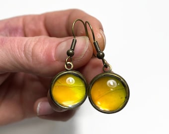 Handcrafted Yellow bronze wing earrings, real butterfly jewelry, nature inspired gifts for her, artisan made presents