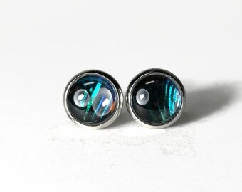 Real butterfly earring