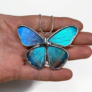 May include: A silver chain necklace with a blue and green iridescent butterfly pendant. The butterfly wings are made of glass and have a detailed vein pattern.