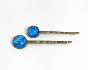 Iridescent blue hair clips, real rhetenor morpho butterfly wing jewelry, glass bobby pins, bronze barrettes, set of 2, bridal accessories
