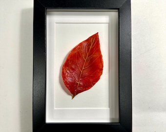 Apple Leaf Fused Glass, Nature Wall Art, Fall Picture, Unique Gifts for Her, Tree Home Decor, Realistic Three Dimensional Sculpture
