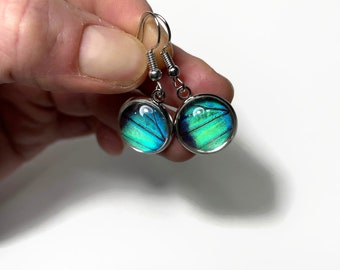 Green iridescent dangle earrings real butterfly wing jewelry glass earrings recycled unique gifts for mom hypoallergenic 14mm