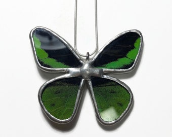 butterfly green and black pendant, glass necklace, real Butterfly wing, insect jewelry, stained glass butterfly