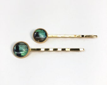 Green and black barrettes butterfly jewelry, real sunset moth hair clips, butterfly wing gold bobby pin