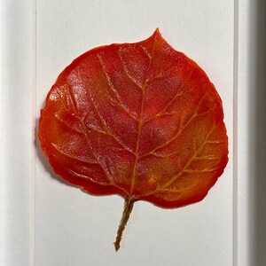 May include: A framed pressed leaf with a vibrant orange and red color scheme. The leaf is mounted on a white background and framed in a white frame.