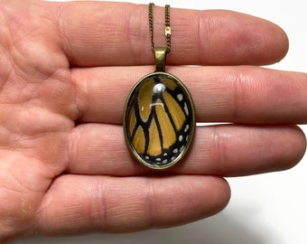 Monarch butterfly wing pendant Real butterfly jewelry, best friend gifts, glass bronze oval necklace, orange and black, chain included