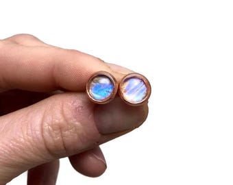 Butterfly wing earrings, real blue Morpho studs, handmade gifts for her, nature inspired butterfly jewelry