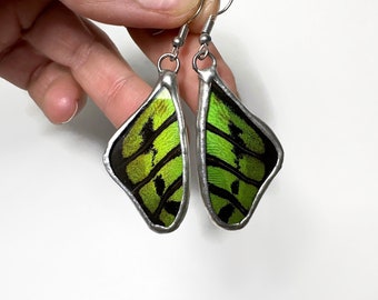 Green and black dangle earrings real butterfly wing jewelry gifts for mom stained glass wing hypoallergenic