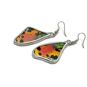 Puede incluir: Un par de pendientes de plata con alas de mariposa encapsuladas en resina. Las alas son de color naranja, amarillo, verde y negro.
