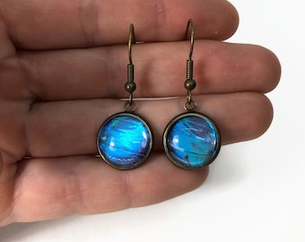 Blue earrings, iridescent, bronze, butterfly wing jewelry, blue morpho butterfly, real butterfly wing, hypoallergenic