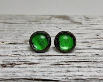 Stud earrings green black real butterfly wing jewelry, glass copper earrings, insect jewelry