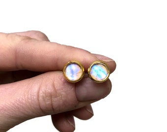 Butterfly wing stud earrings, Iridescent blue earrings, real butterfly jewelry, sulkowskyi morpho, unique gifts for her, glass studs