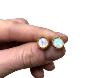 Iridescent blue gold stud earrings, real butterfly wing jewelry, sulkowskyi morpho, unique gifts for her, glass studs, hypoallergenic