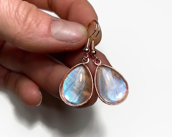 Real butterfly earring