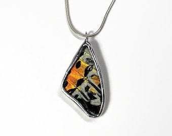 One-of-a-kind Multicoloured Wing Pendant, Real Sunset Moth, Butterfly Jewelry Gifts for Her