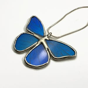Blue pendant, iridescent, butterfly wing jewelry, Blue Morpho butterfly, real butterfly, glass pendant, necklace included