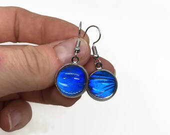 Blue morpho butterfly earrings, real butterfly wing, butterfly jewelry, iridescent earrings, butterfly taxidermy