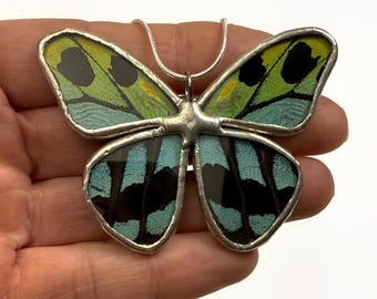 Butterfly wing pendant, real butterfly jewelry, unique gifts for her, glass necklace, recycled pendant, chain included
