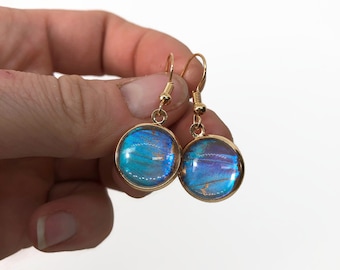 Iridescent blue butterfly earrings aurora aureola morpho butterfly real butterfly wing jewelry glass gold dangle earrings best friend gifts