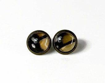 Monarch wing stud earrings, real butterfly jewelry, best friend gifts, glass bronze studs, hypoallergenic