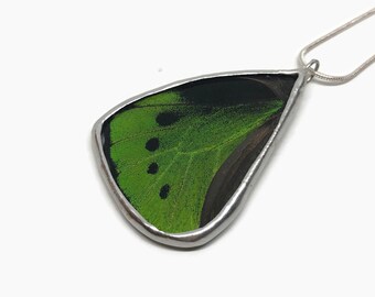 Butterfly green and black pendant, real butterfly wing jewelry, insect Necklace, unique gifts for her, stained glass wing, Taxidermy