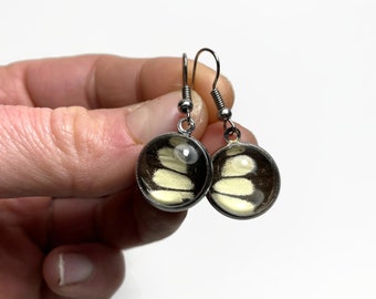 Black and cream glass earrings, dangle earrings, real butterfly wing jewelry, best friend gifts, hypoallergenic