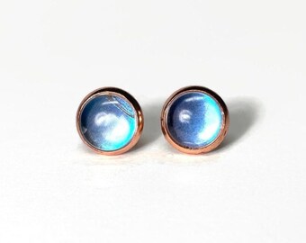 Blue butterfly stud earrings, real Morpho didius jewelry, unique gifts for her, rose gold studs, hypoallergenic