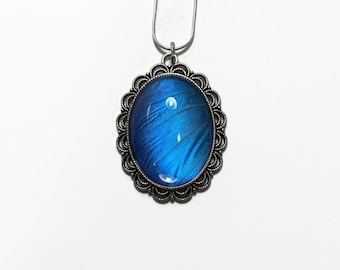 Blue iridescent pendant Morpho Didius real butterfly wing jewelry unique gift for her presents chain included