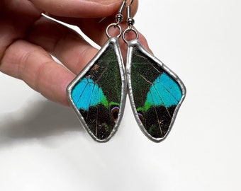 Green wing earring real butterfly jewelry recycled glass dangle earrings gifts for mom hypoallergenic unique presents