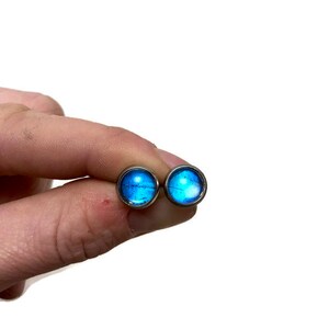 May include: A pair of silver stud earrings with blue butterfly wing designs.