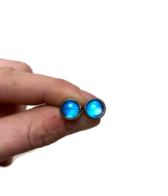 Real Butterfly jewelry, minimalist jewelry, butterfly studs, Unique jewelry, blue morpho butterfly, real butterfly earrings, insect earrings