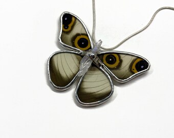 White brown pendant, real butterfly wing jewelry, crystal necklace, glass pendant, gifts for her, necklace included