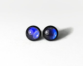 Blue Butterfly Wing Stud Earrings, Nature Inspired Jewelry, Handmade Real Butterfly Gifts for her