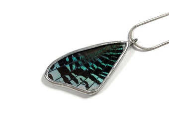 Iridescent moth wing pendant, real butterfly jewelry, green, black glass necklace, unique gifts for her, stained glass, chain included