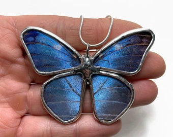 Butterfly necklace, Blue pendant, blue morph Butterfly, glass pendant, real butterfly, iridescent, taxidermy jewelry, stained glass wing