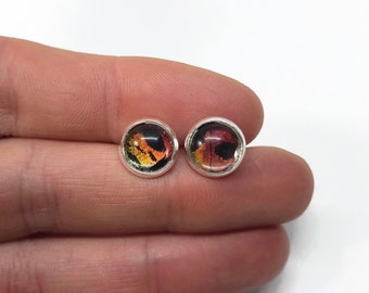 Iridescent rainbow earrings butterfly jewelry round glass studs, real sunset moth wing, unique teacher gifts, hypoallergenic