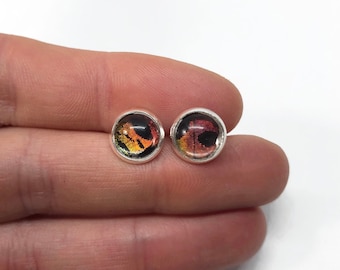 Iridescent rainbow earrings butterfly jewelry round glass studs, real sunset moth wing, unique teacher gifts, hypoallergenic