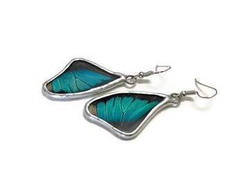 Iridescent butterfly wing earrings, butterfly jewelry, glass earrings, real butterfly wing, stained glass earrings, unique gifts for her