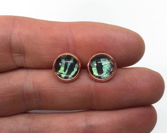 Green and black glass stud earrings, rose gold studs, iridescent earrings, butterfly jewelry, real sunset moth wing, unique gifts for her