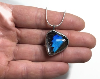 Iridescent teal black pendant real butterfly wing jewelry glass heart pendant unique gifts for her butterfly chain included