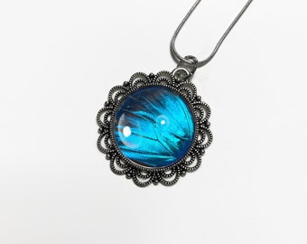 Blue iridescent necklace real butterfly wing jewelry unique gifts for her morpho aurora aureola chain included
