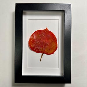 May include: A framed pressed leaf art piece featuring a single, vibrant red and orange leaf with intricate veins. The leaf is centered in a white mat and black frame.