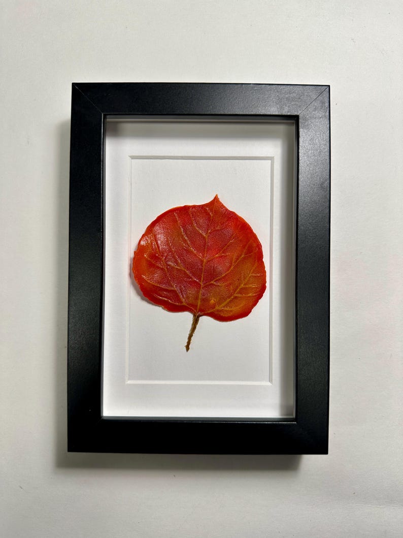 May include: A framed pressed leaf art piece featuring a single, vibrant red and orange leaf with intricate veins. The leaf is centered in a white mat and black frame.