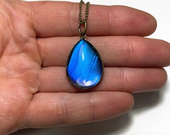 Iridescent blue wing pendant, glass bronze teardrop pendant, butterfly jewelry, Real rhetenor morpho, gifts for girlfriend, chain included