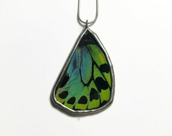 Butterfly pendant green and blue real butterfly wing jewelry, glass necklace, stained glass butterfly, insect necklace, gifts for her