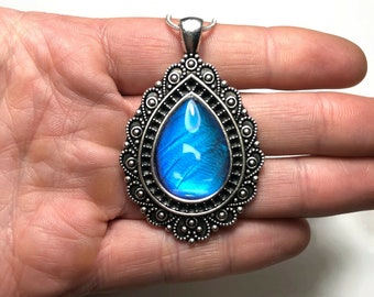 Butterfly wing blue pendant, real Morpho didius jewelry, unique birthday gifts, glass filigree necklace, chain included