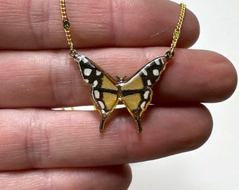 Monarch butterfly pendant, orange and black necklace, resin charm for her, real butterfly wing jewelry, gifts for girlfriend