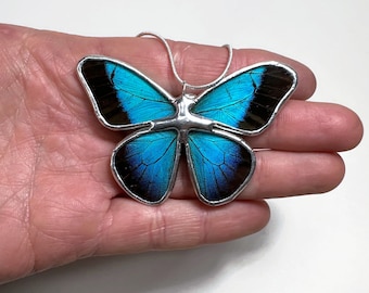Teal Butterfly pendant real butterfly wing, glass necklace, recycled pendant, insect necklace, butterfly taxidermy