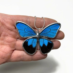 Blue pendant real butterfly wing jewelry gifts for her Papillo Ulysses glass pendant necklace included